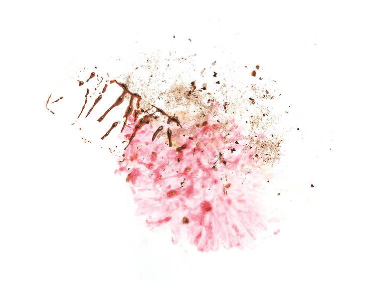 Image of Panama Ninety Plus - 23409