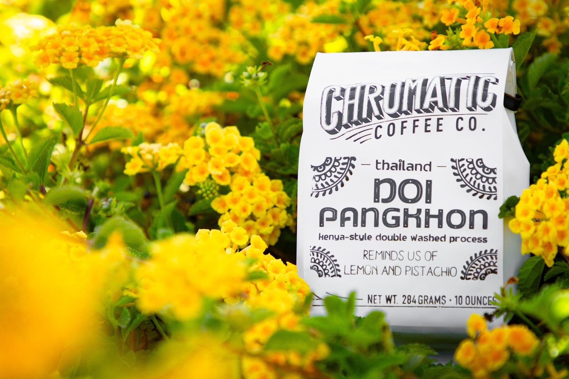 Image of Doi Pangkhon Double Washed