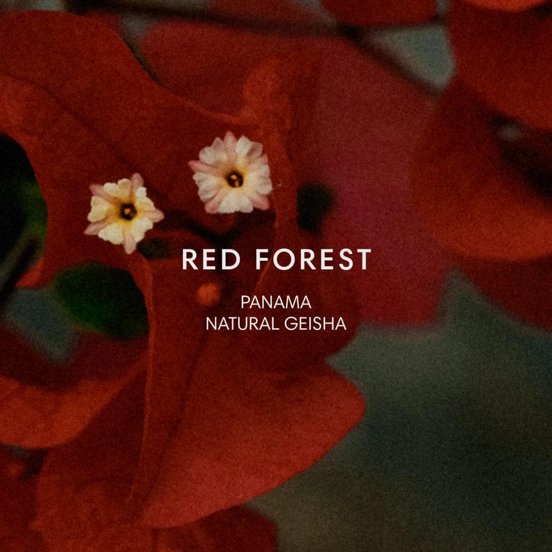 Image of Red Forest Geisha