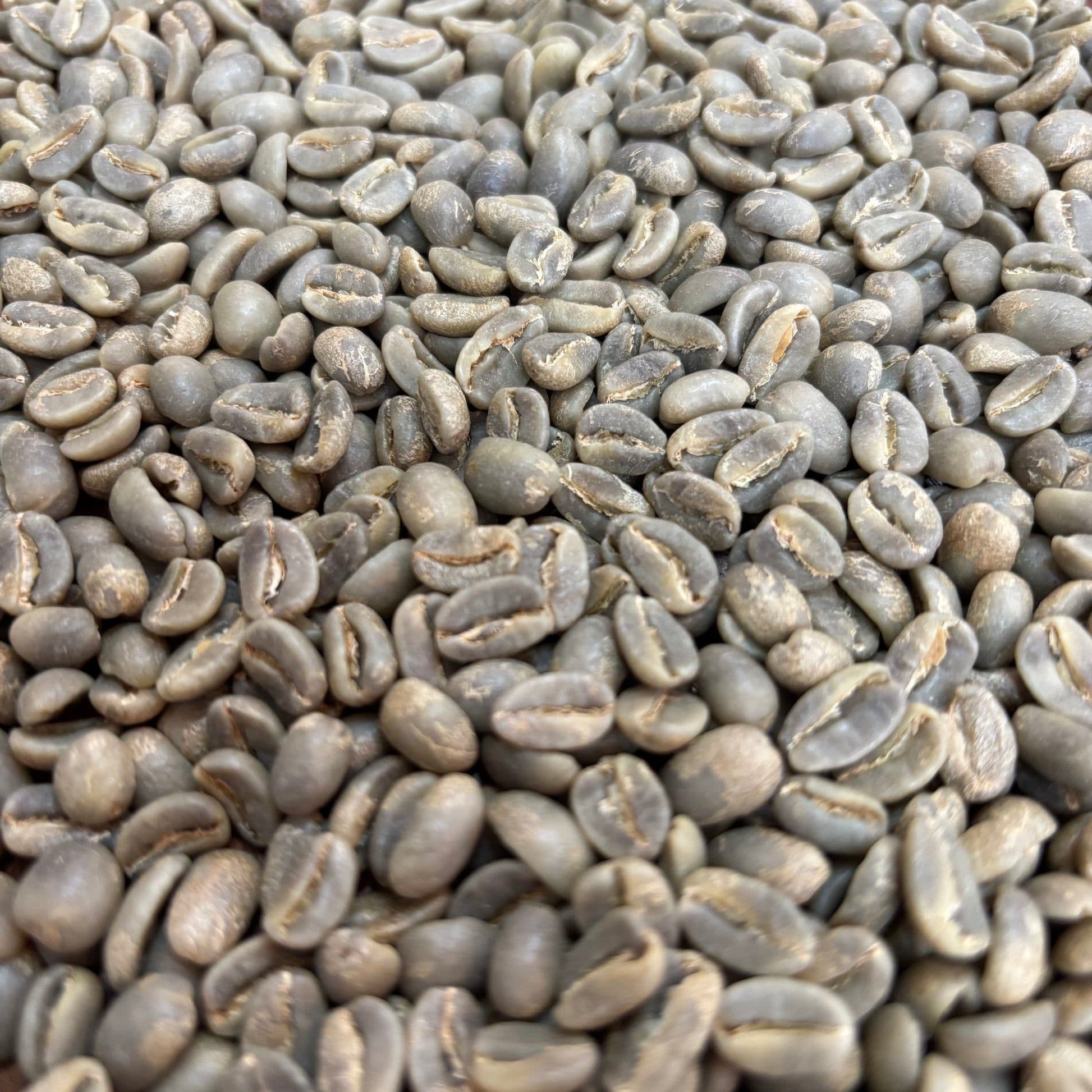 Image of COE Honduras 9 Itacayo Anaerobic Washed Geisha  Green