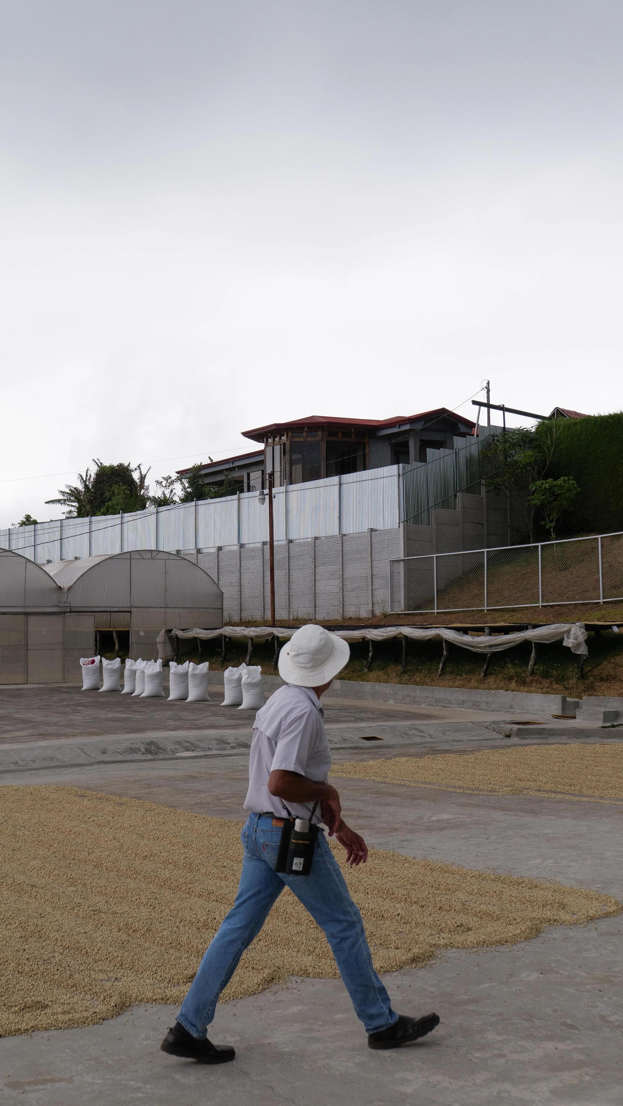 Image of Costa Rica Herbazú Villa Sarchi Semi-Washed