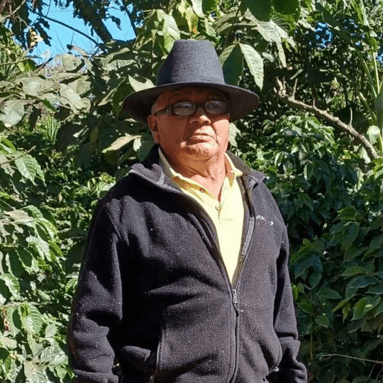 Image of Guatemala San Fransisco