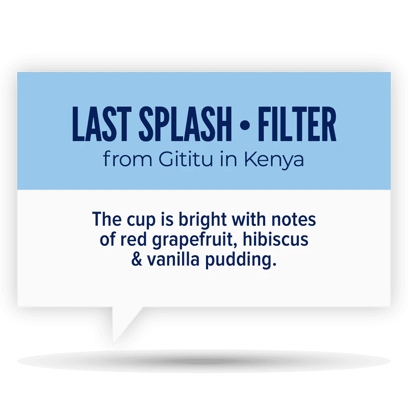 Image of Last Splash