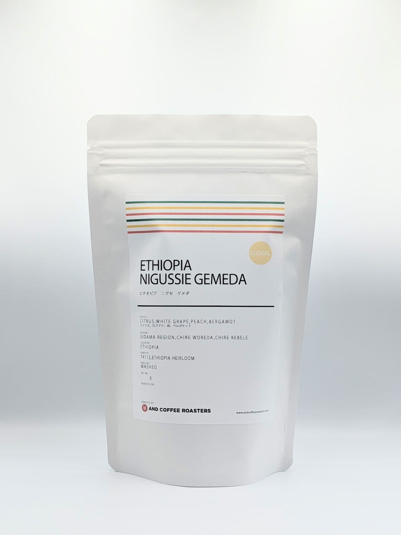 Image of Light Ethiopia Nigussie Gemeda