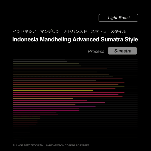 Image of Indonesia Mandheling Advanced Sumatra Style