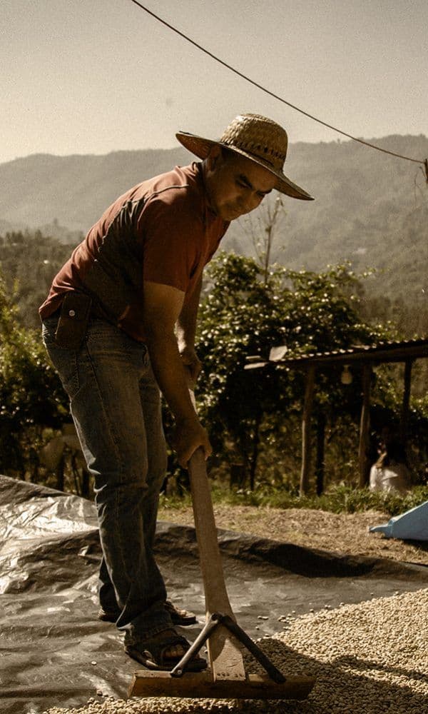 Image of Vista Al Lago