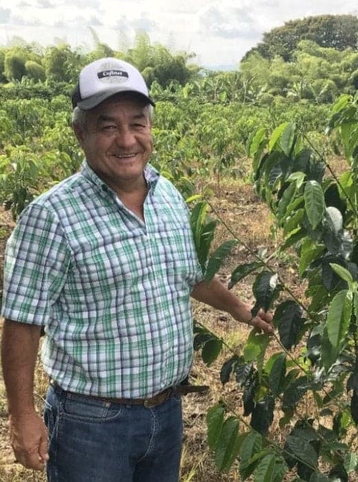 Image of Colombia Santa Monica Blackberry Honey Process