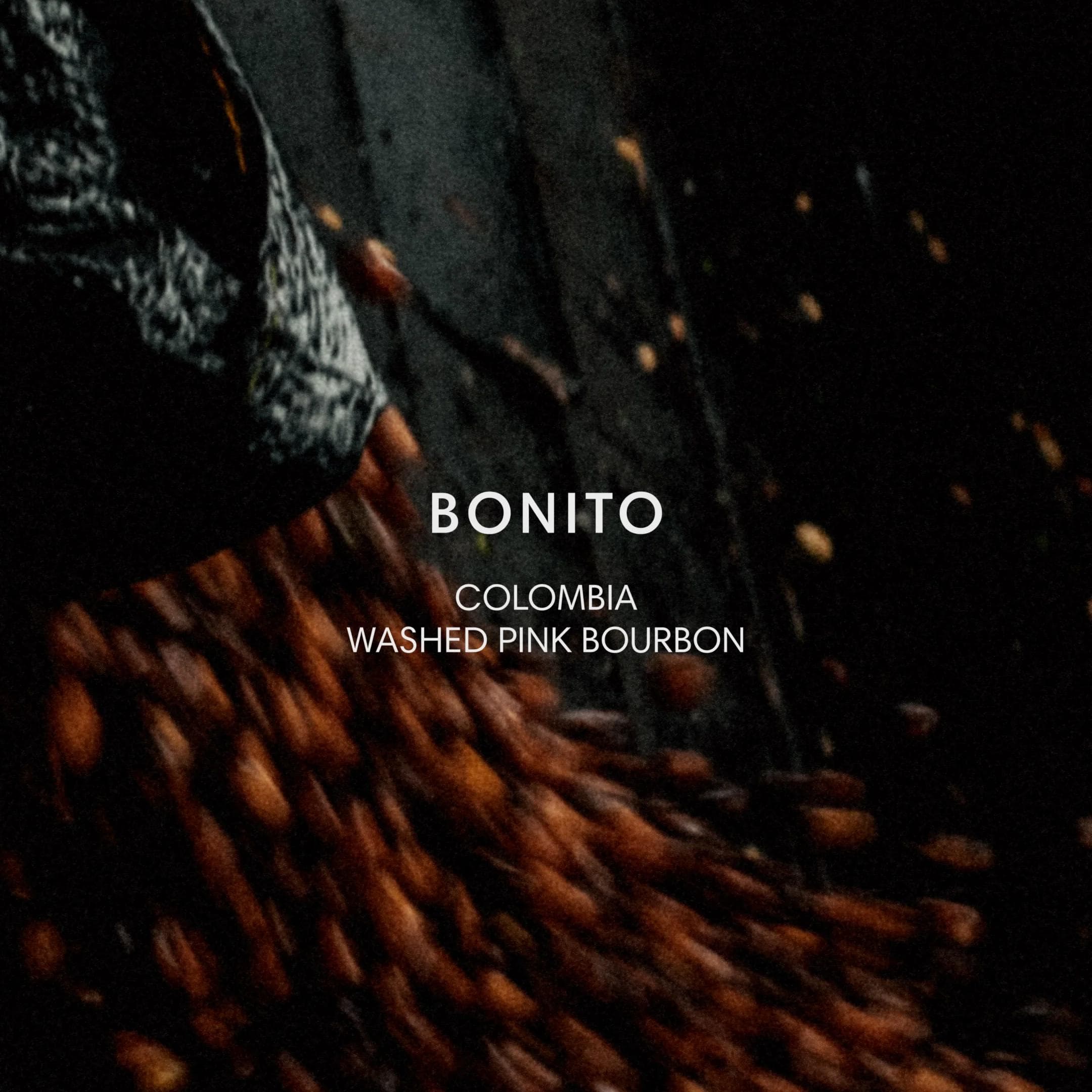 Image of Bonito