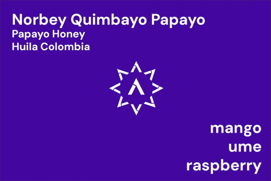 Image of Norbey Quimbayo Papayo