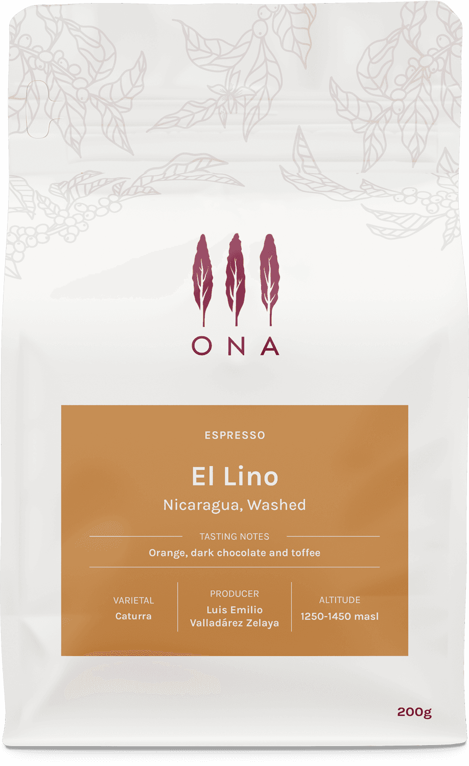 Image of El Lino Nicaragua Washed