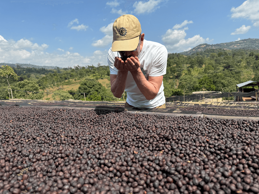 Image of Rumudamo Natural
