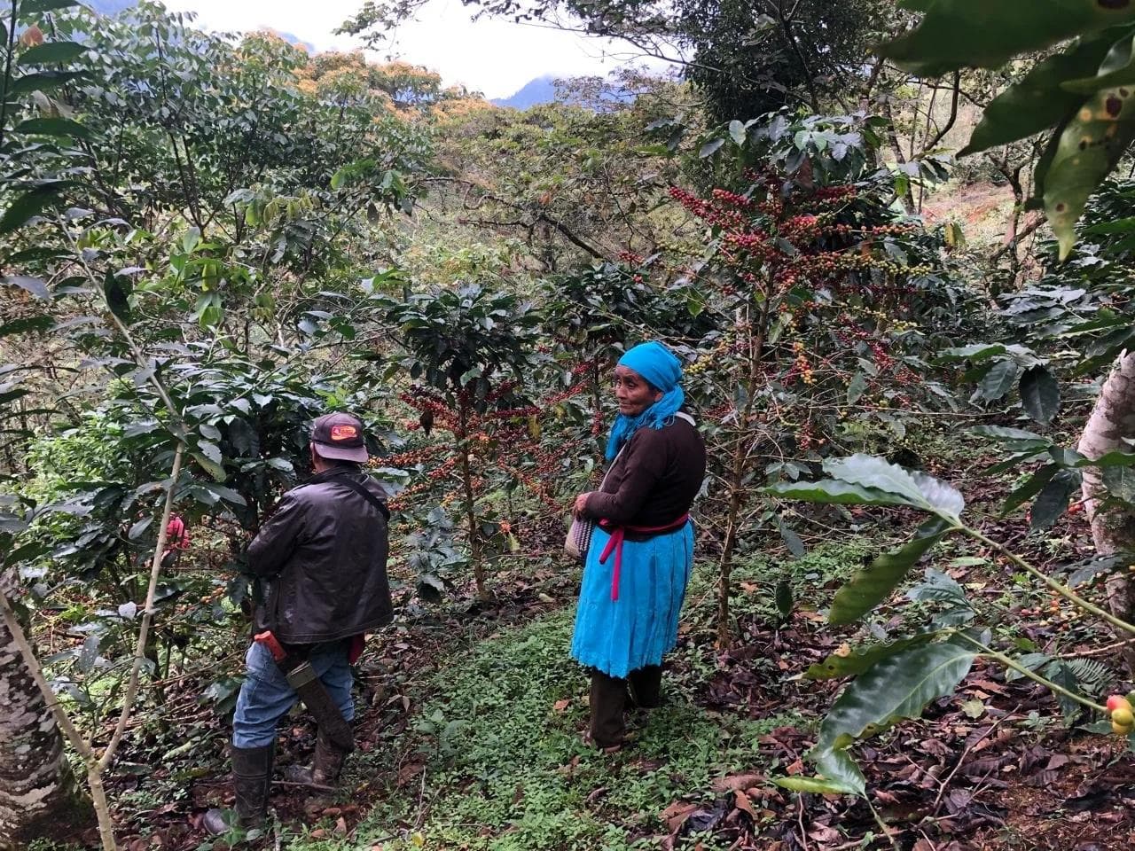 Image of Tanetze de Zaragoza Mexico