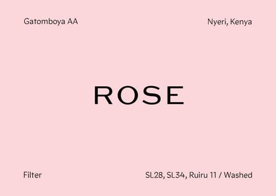 Image of Kenya - Gatomboya AA