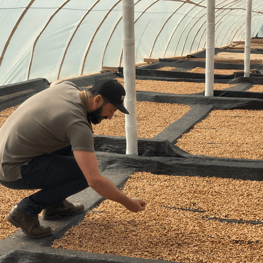 Image of Colombia Finca Milan Nitro