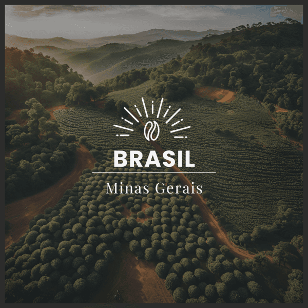 Image of Minas Gerais – Brazil