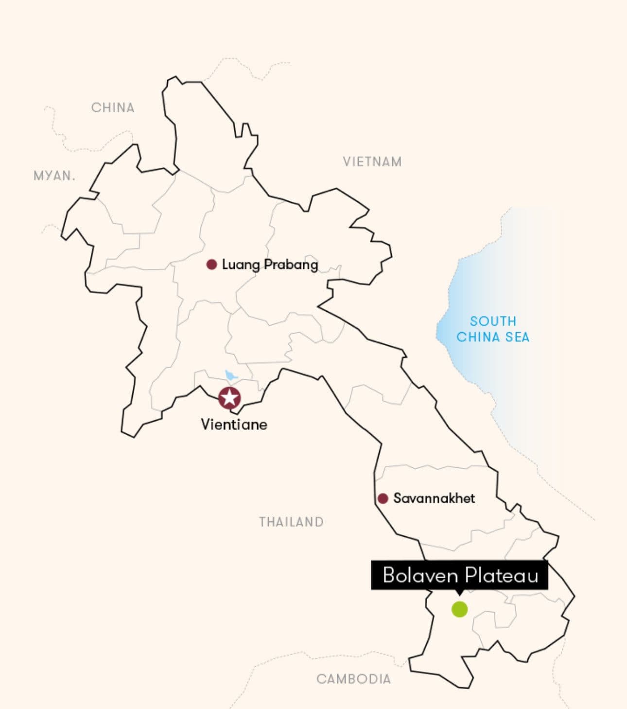 Image of Laos Bolavan Geisha