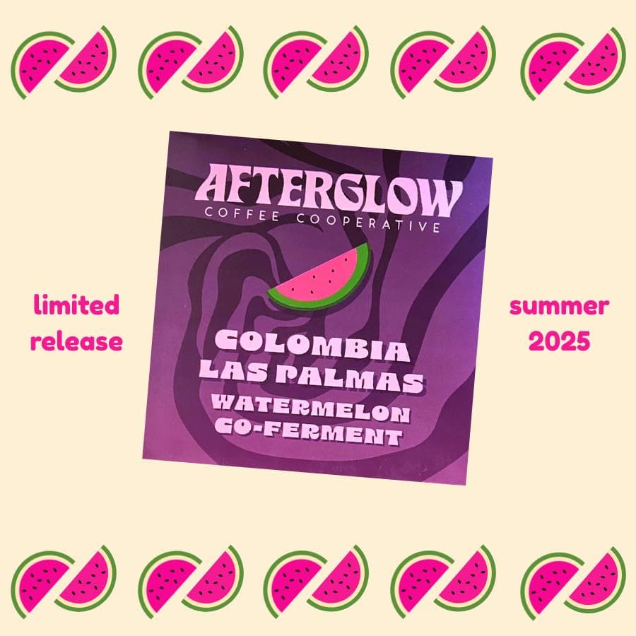 Image of Nicaragua Finca Un Regalo De Dios Java Natural