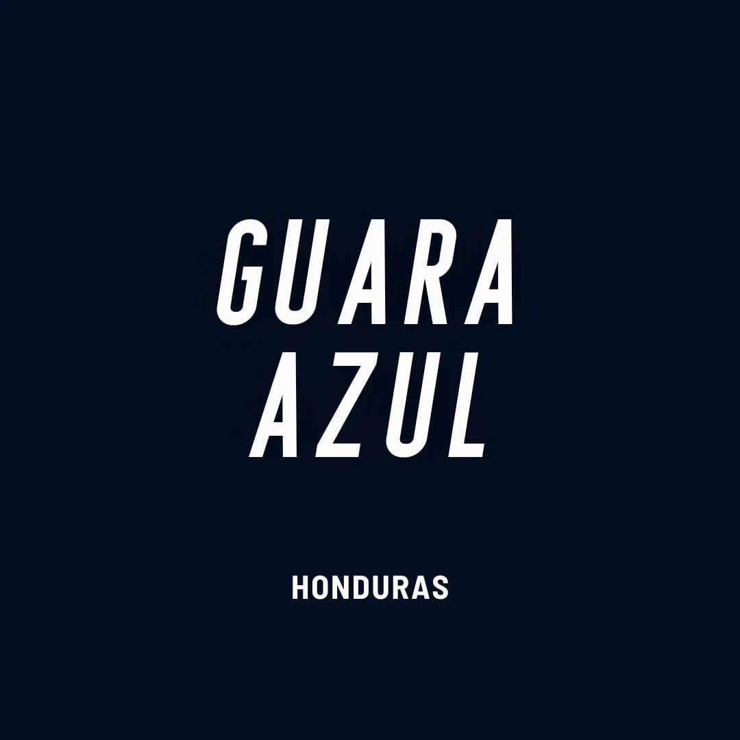 Image of Honduras Guara Azul