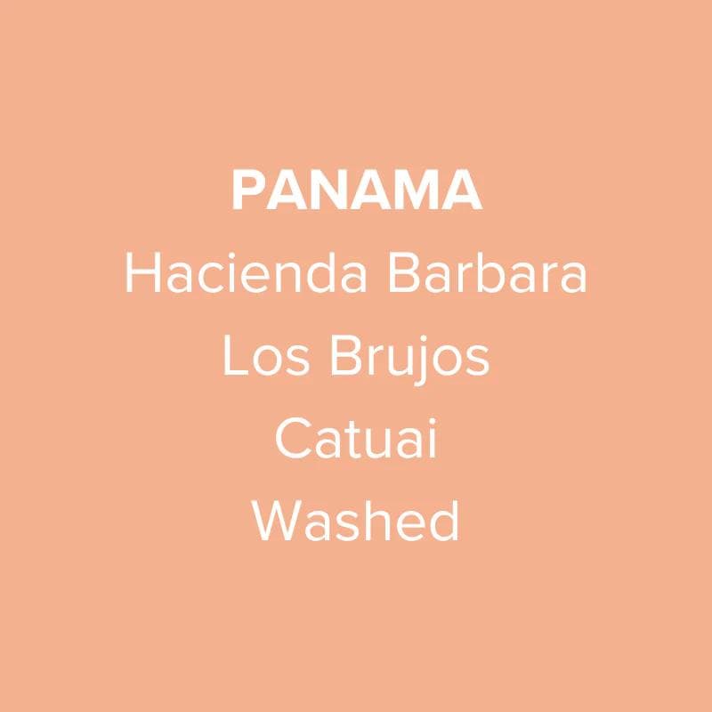 Image of Panama Hacienda Barbara Los Brujos Catuai Washed