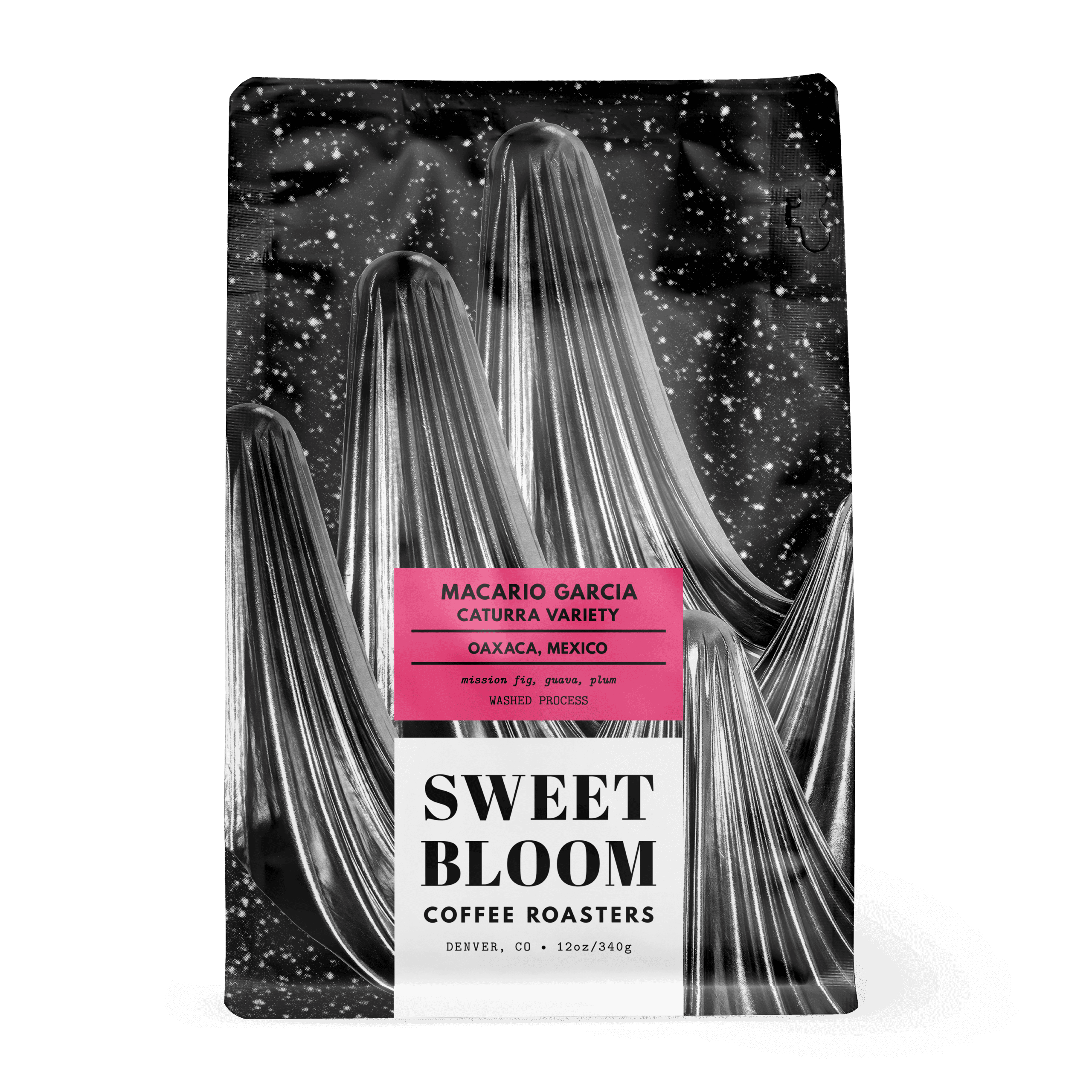 Image of Macario Garcia