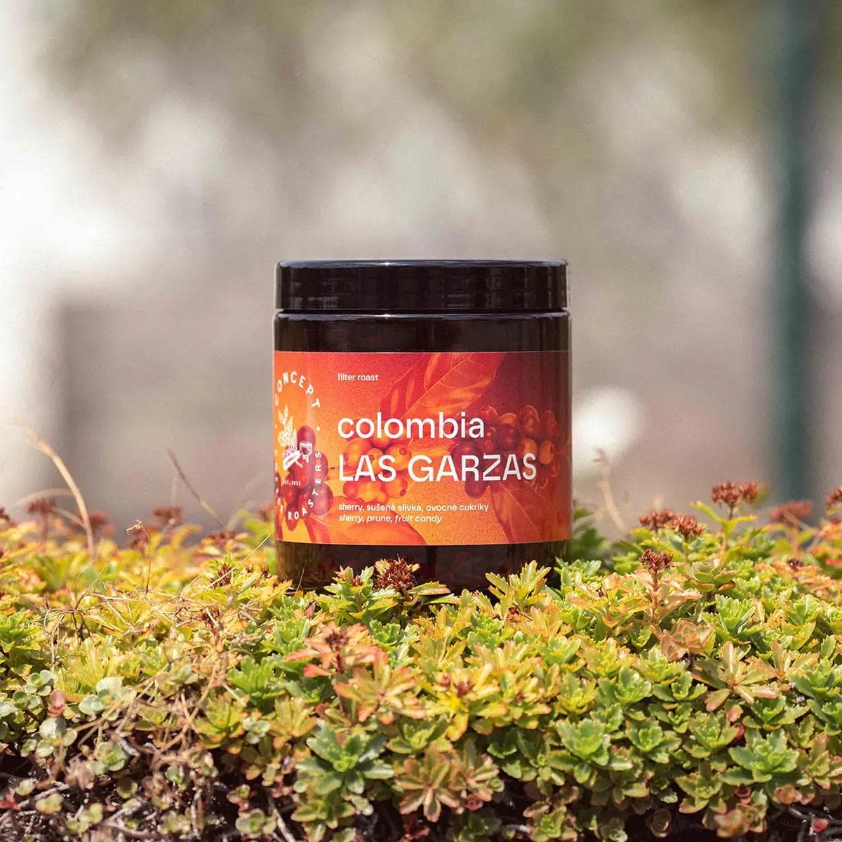 Image of Laz Garzas  Colombia