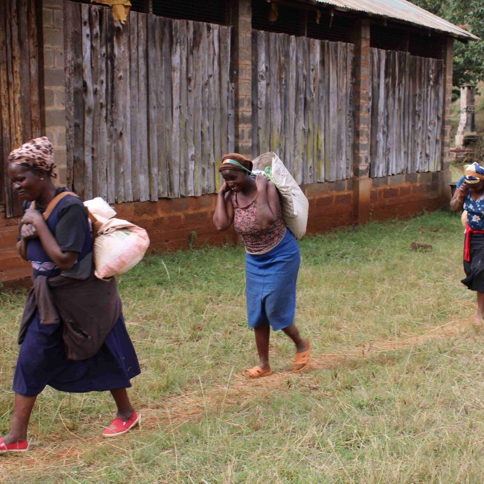 Image of Njuriga Washing Station - Anaerobic Natural Lot KE