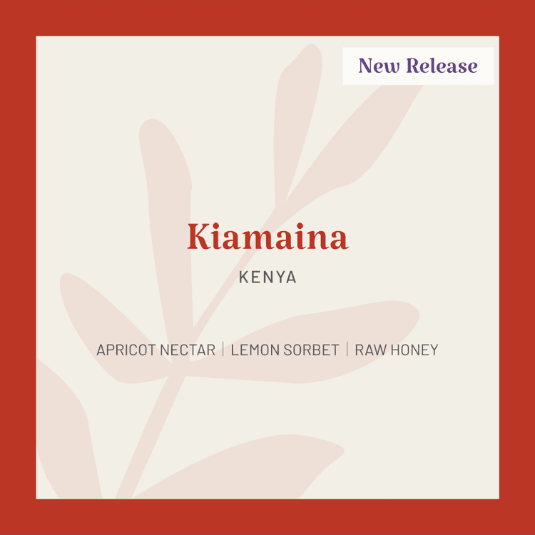 Image of Kenya Kiamaina