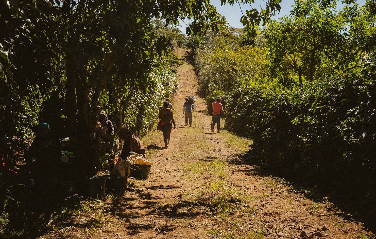 Image of Finca Las Lajas