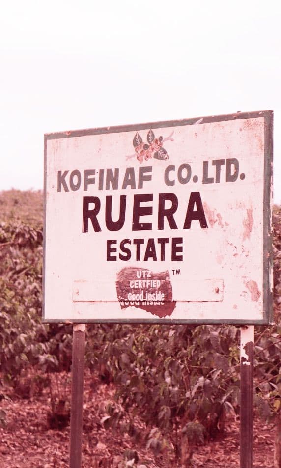Image of Ruera Kenya
