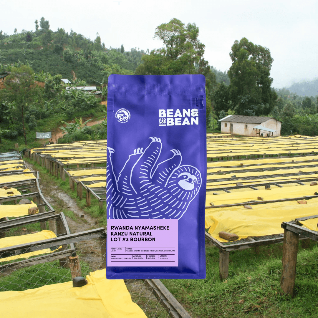 Image of Rwanda Nyamasheke Kanzu Natural Lot 3 Bourbon