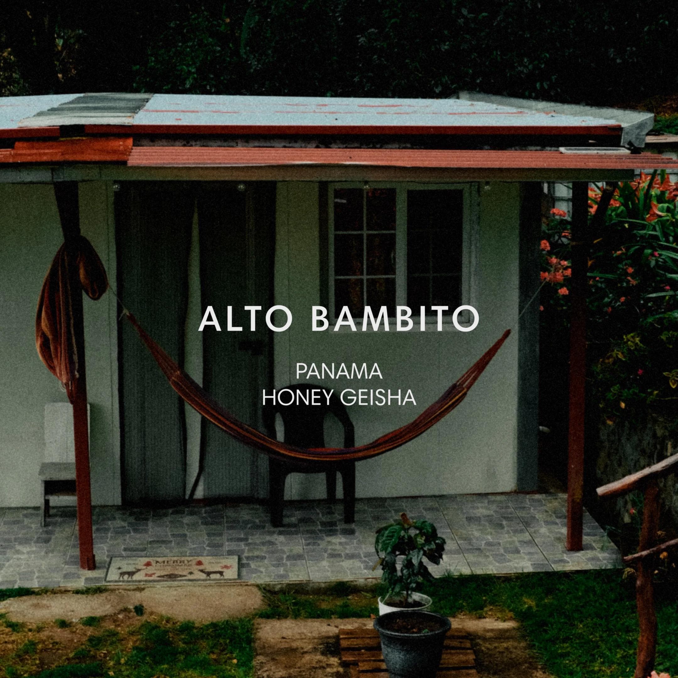 Image of Alto Bambito