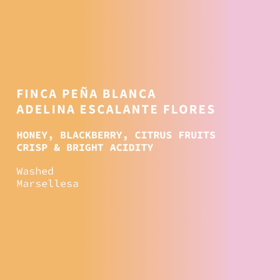 Image of Mexico Cup of Excellence 4