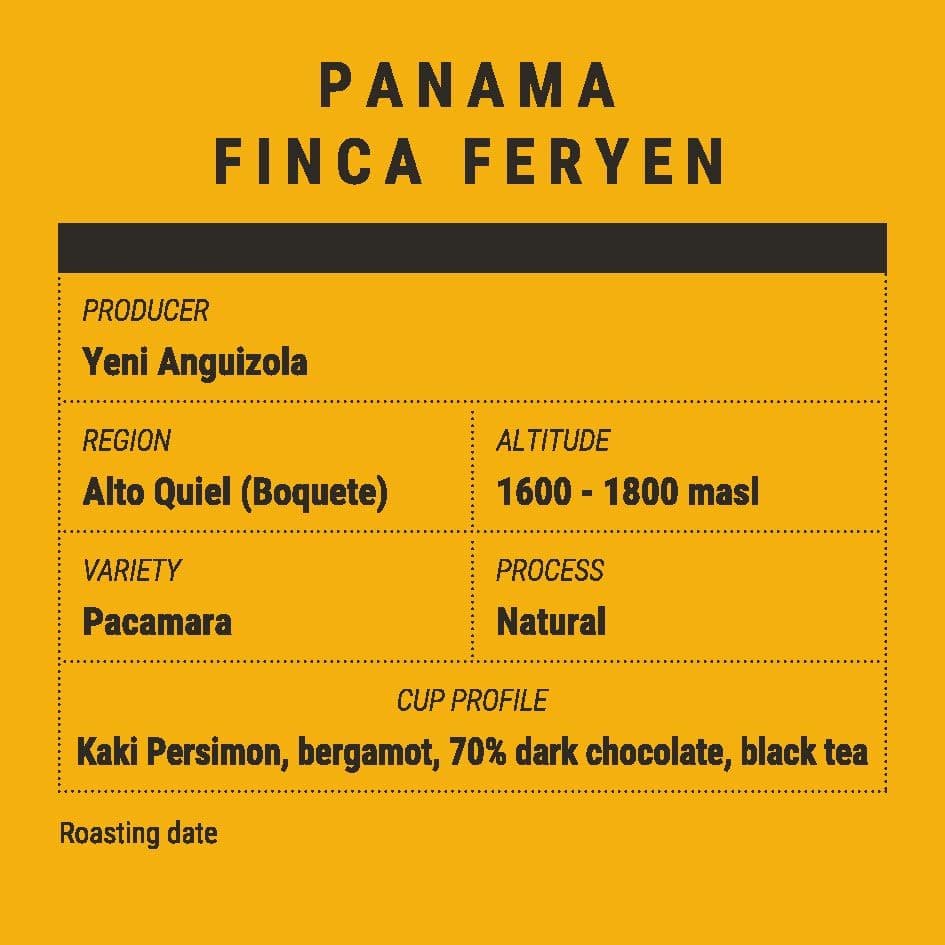 Image of Panama Finca Feryen – Pacamara