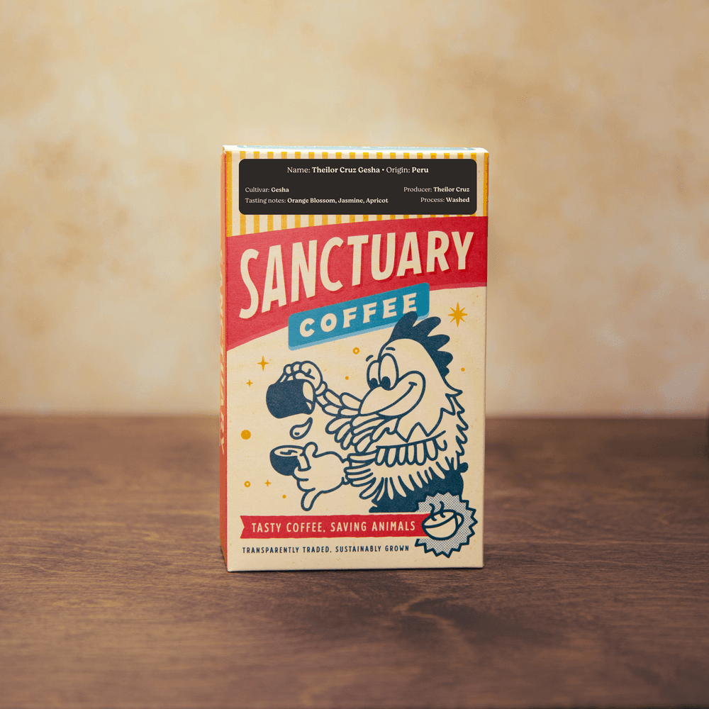 Image of Theilor Cruz