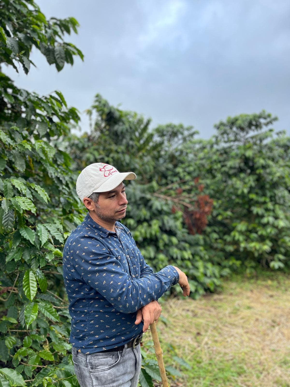 Image of Colombia Orlando Ospina Geisha Anaerobic Natural