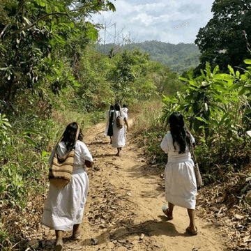 Image of Colombia Sierra Nevada Gesha