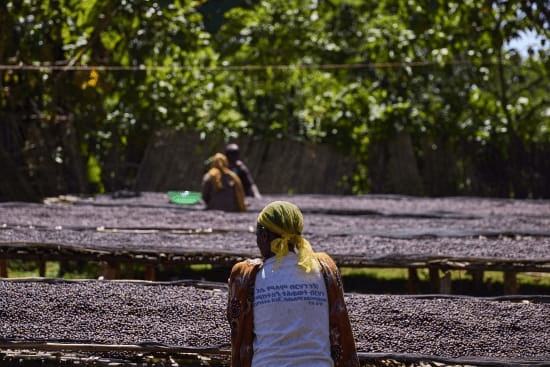 Image of Ethiopia - Arsosala