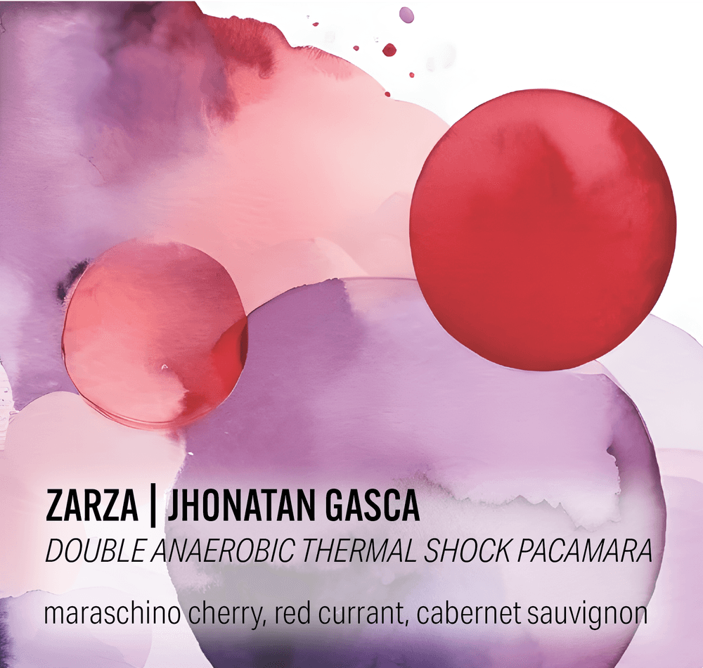 Image of Zarza Bella Vista Pacamara - Colombia