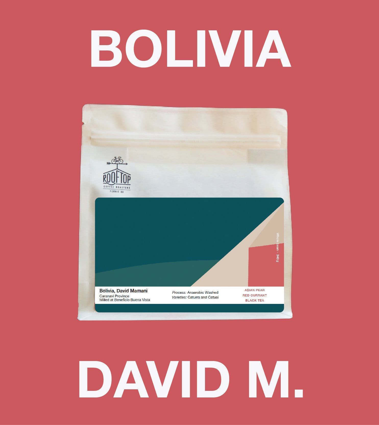 Image of Bolivia, David Mamani