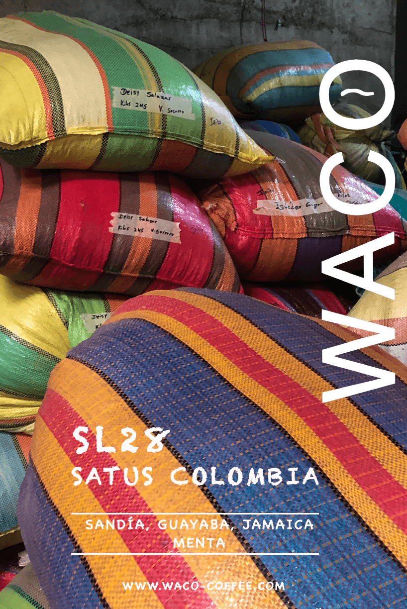Image of SL28 Colombia