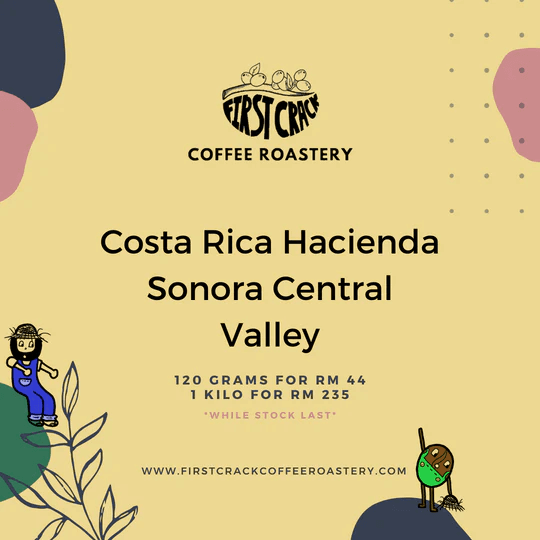 Image of Costa Rica Hacienda Sonora Central Valley