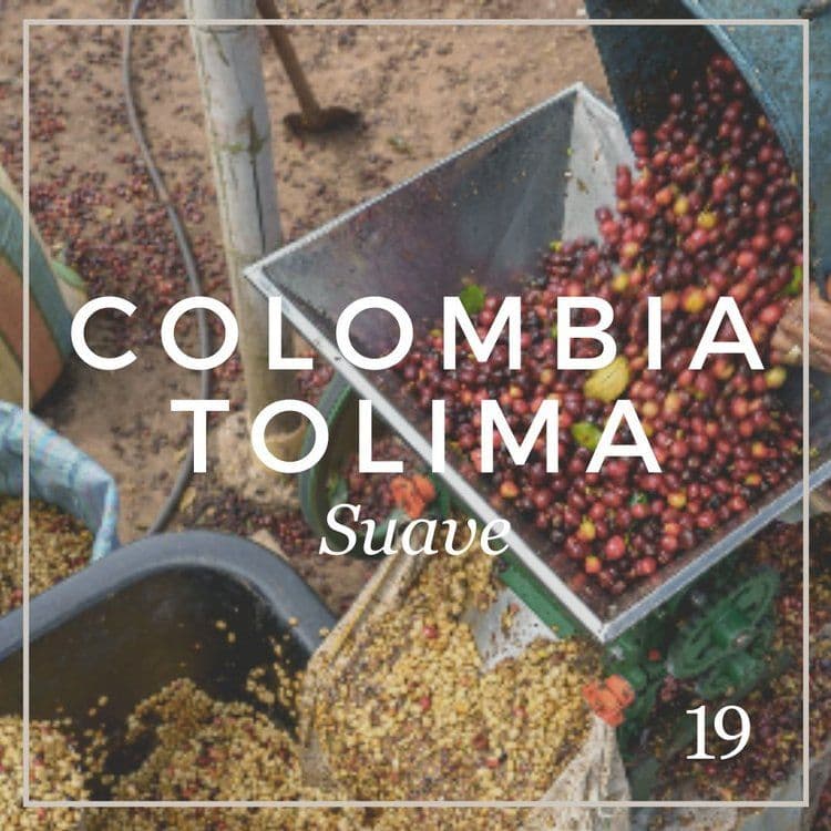 Image of Colombia Tolima Suave