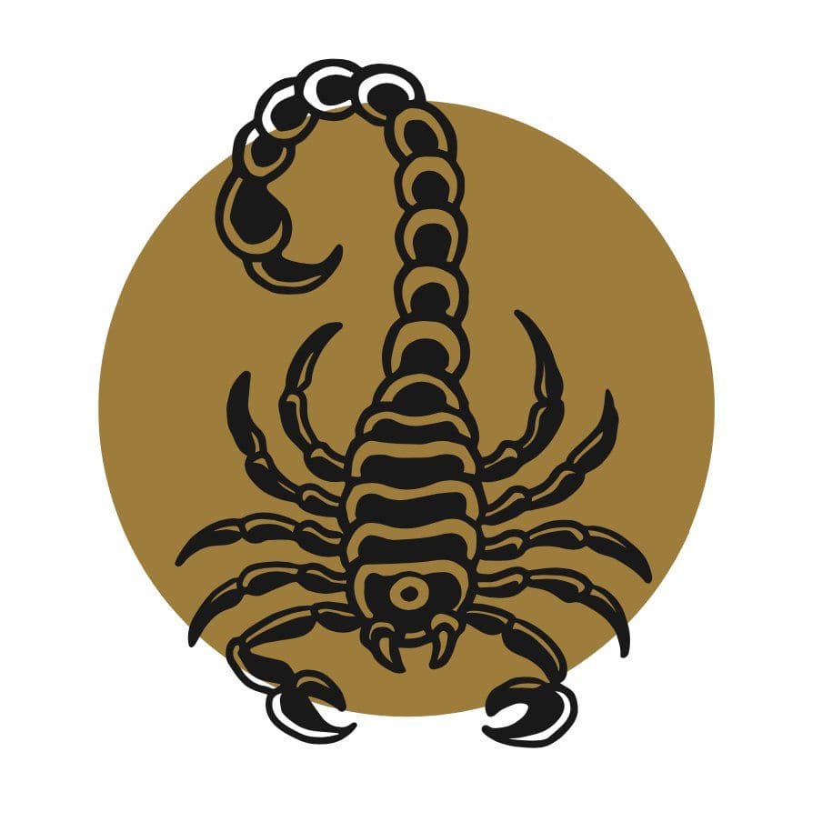 Image of Timeless Coffee 