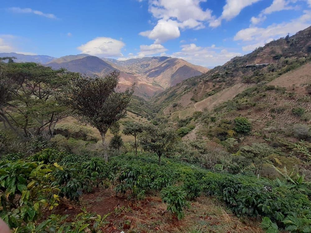 Image of Colombia Tablón de Gómez