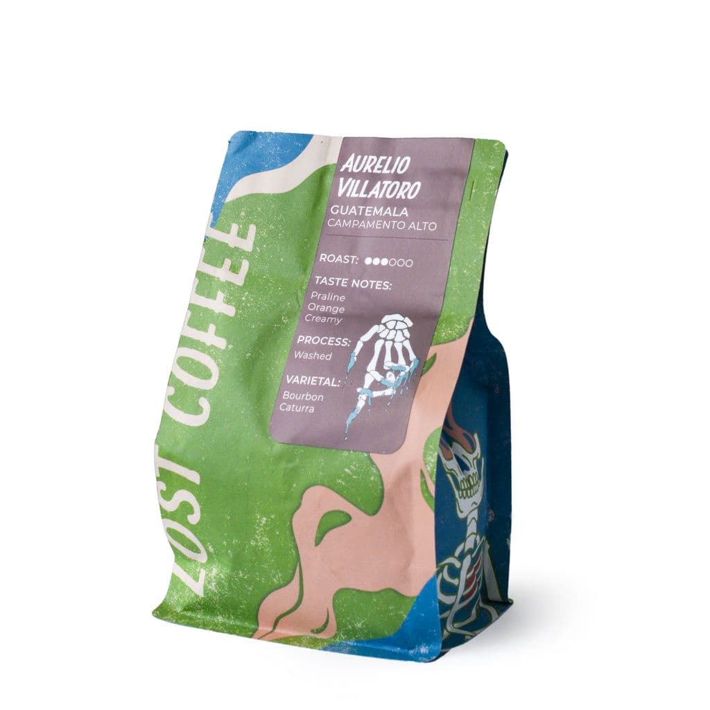 Image of Aurelio Villatoro