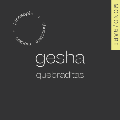 Image of GESHA Colombia - La Quebraditas