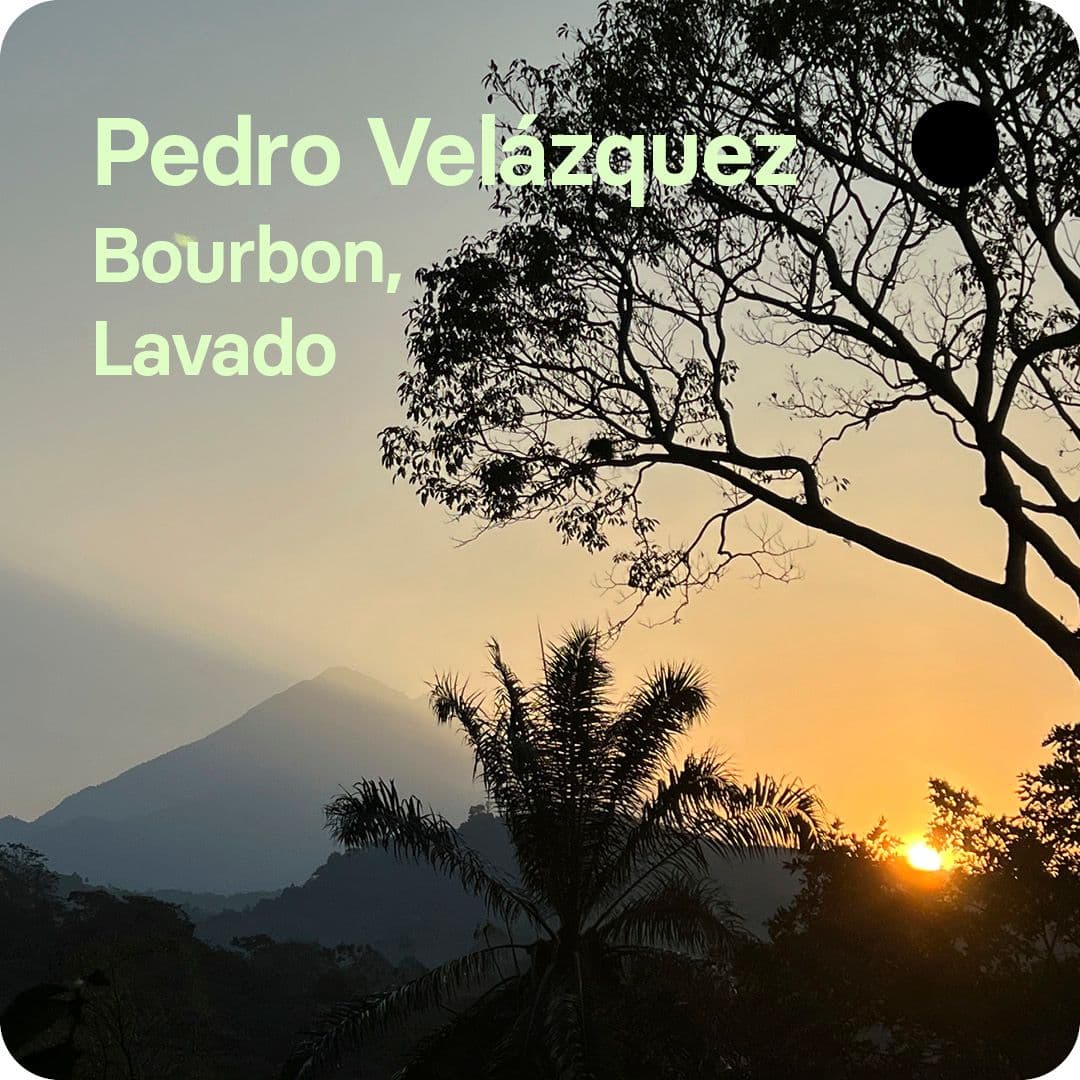 Image of Pedro Velazquez Mexico