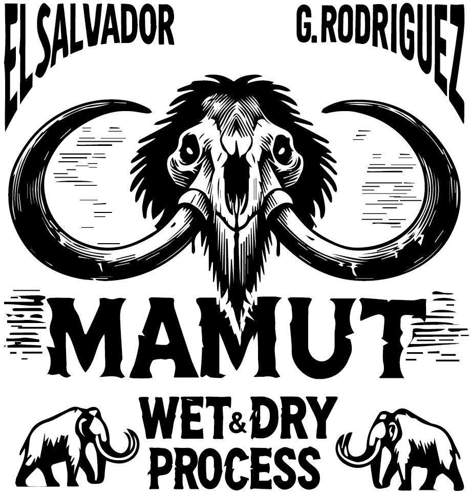 Image of Mamut Dry Wet Process