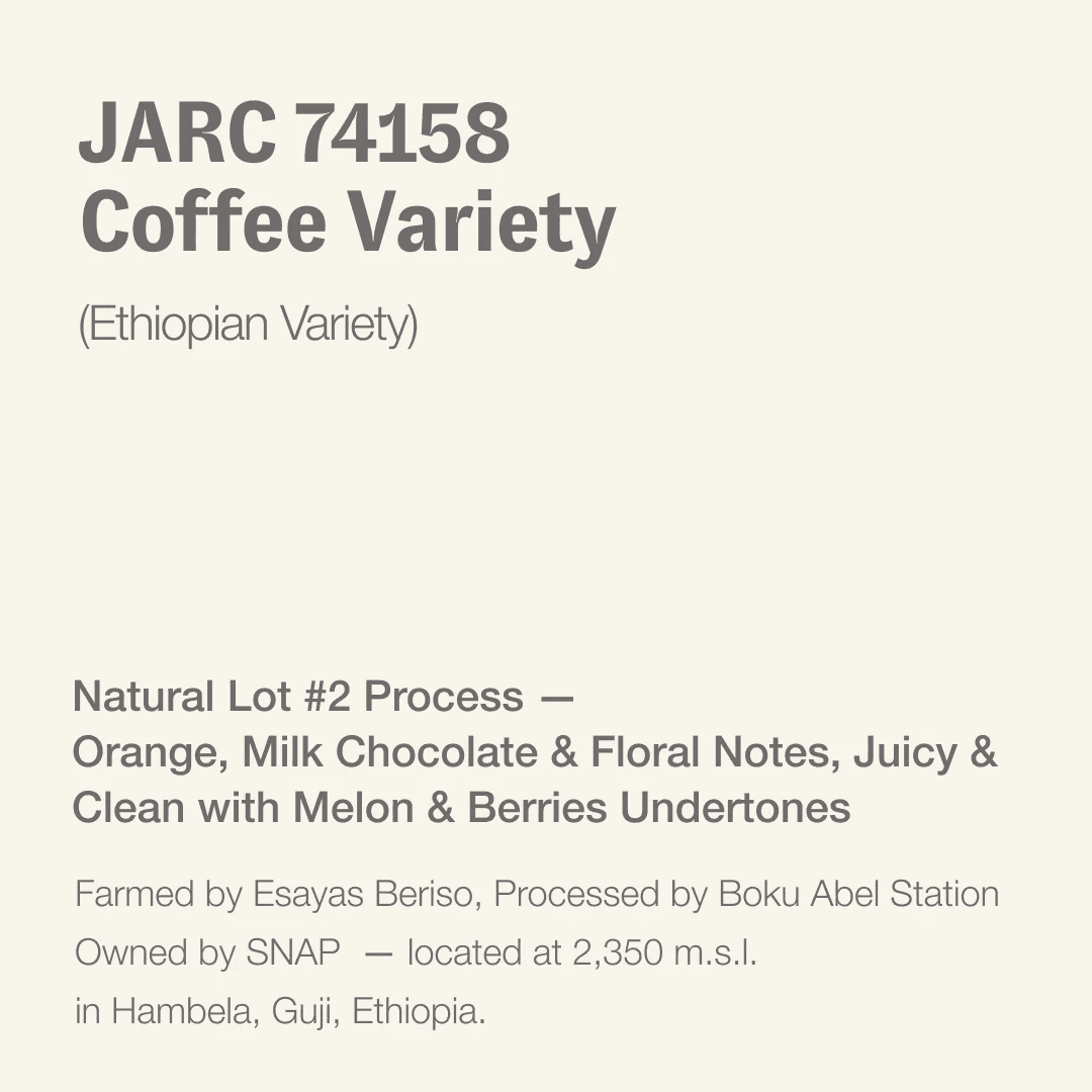 Image of JARC 74158 Coffee Variety