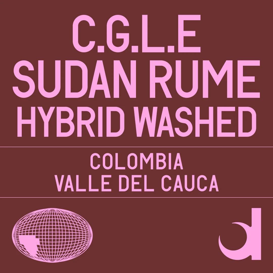 Image of Cafe Granja La Esperanza Sudan Rume Hybrid Washed